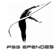 fsg epende